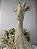 Girafa Decorativa de Resina Dourada - Imagem 2