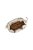 Bolsa Bucket Pequena Trançada Luiza Barcelos Off White - Imagem 6