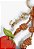 Bagcharm Strawberry Couro Schutz - Imagem 2