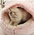Casinha Cama Gato Cachorro Porte Pequeno Pet Plush Tam M - Imagem 8