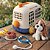 Brincando De Veterinário Kit Infantil Com Acessórios - Imagem 6