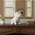 Pug Decorativo De Ceramica Decoração Casa - Imagem 3