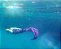 Cauda De Sereia Adulto Nadadeira Sapatinho Neoprene Iza - Imagem 3