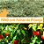 Feno Coast Cross com Folhas de Pitanga - 500g - Imagem 1