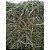 Feno Coast Cross - 500g - Imagem 3
