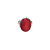 Anel de prata 925 com coral natural - Imagem 5