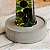 Vaso de cimento Bambu da Sorte - Aura - Imagem 5