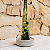 Vaso de cimento Bambu da Sorte - Aura - Imagem 4