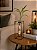 Vaso Bambu da Sorte - Urban Frame - Imagem 2