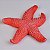 Enfeite Estrela do Mar Vermelha 16cm - Imagem 1