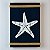 Quadro Estrela Azul Marinho 35 cm - Imagem 1