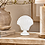 Ostra Ceramica Branco - Imagem 1