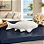 Peixe Ceramica Branco - Imagem 1