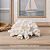 Enfeite Coral Branco - Imagem 1