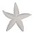 Estrela Do Mar Pontas Curvas Textura - Imagem 1