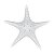 Enfeite Estrela Do Mar Com Textura - Imagem 3