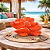 Enfeite De Mesa Coral Vermelho - Imagem 1