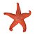Estrela Do Mar Pontas Curvadas Vermelho - Imagem 2
