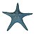 Estrela Do Mar Com Textura Azul - Imagem 1