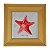Quadro Estrela Do Mar Vermelha - Imagem 2