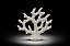 Escultura Coral Branca - Imagem 2