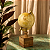 Globo Decorativo Vintage com Base Amadeirada P - Imagem 1