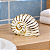 Enfeite Concha Espiral em Resina - Imagem 1