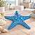 Enfeite Decorativo Estrela-do-Mar Azul - Imagem 1