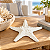Enfeite Decorativo Estrela-do-Mar Branca - Imagem 1