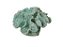 Coral em Resina Azul Claro - Imagem 2