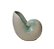 Vaso Decorativo Concha Náutilus Verde-Água - Imagem 2