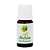 Óleo Essencial de Alecrim 10 ML - Imagem 1