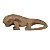 Escultura Iguana de Madeira Suar Mesclada 22cm - Imagem 1