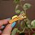 Presilha bico de pato infantil borboleta transparente com bolo - Imagem 2