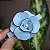Presilha camélia acrílico azul claro com preto - Imagem 1