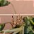 Brinco argolinha penduricalhos borboletas vazadas ouro semijoia XD 622 - Imagem 4