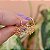Brinco argolinha penduricalhos borboletas vazadas ouro semijoia XD 622 - Imagem 3