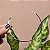 Colar aro liso ródio semijoia - Imagem 1
