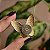 Broche magnético borboleta esmaltada - Imagem 3