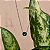 Colar cristal verde ródio semijoia AD 415 - Imagem 5
