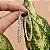 Brinco argola oval zircônias verde água cristal ródio semijoia AC 30 - Imagem 1