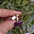 Broche pin inseto ouro semijoia - Imagem 3