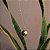 Colar longo esfera cristais ouro ródio semijoia - Imagem 1