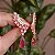 Brinco ear cuff cristais rosa ouro semijoia - Imagem 3