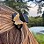Piranha de cabelo acetato preto com borboleta nude - Imagem 2