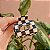 Piranha de cabelo acetato xadrez preto - Imagem 2
