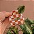Piranha de cabelo acetato xadrez caramelo - Imagem 1