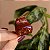 Piranha de cabelo francesa Finestra marrom listrado N748BSH - Imagem 1