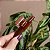 Piranha de cabelo francesa Finestra marrom listrado F22940BSH - Imagem 4
