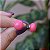 Brinco bola achatada resina rosa g ouro semijoia BA 4726 - Imagem 4